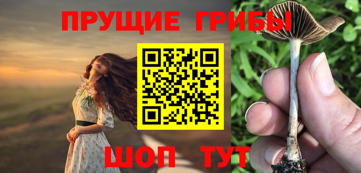 Галлюциногенные грибы мицелий Волгоград