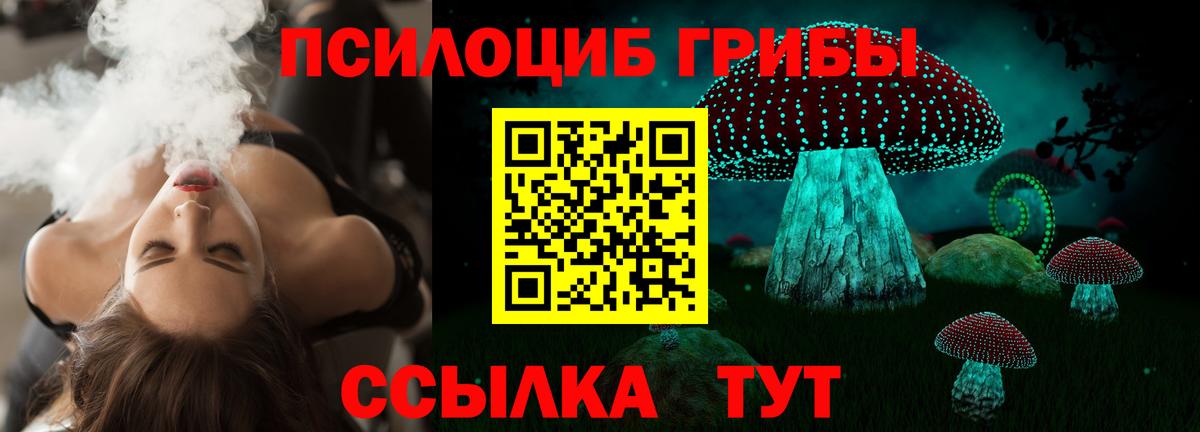 Галлюциногенные грибы Cubensis  Вход с VPN  Волгоград 